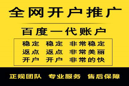 专业SEM服务托管方案案例分析